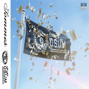 SOMMES (feat. Jey Chris) (Explicit)