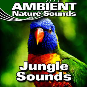 Jungle Sounds