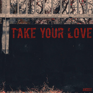 Take Your Love