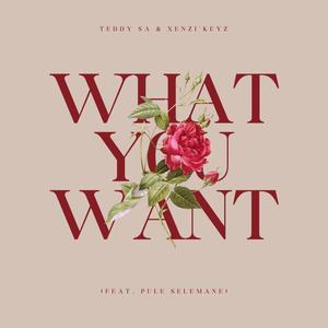 What You Want (feat. Pule Selemane)