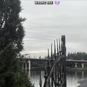 wrong one (feat. Ajay Money) (Explicit)