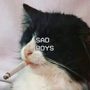 SAD BOYS