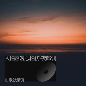 人怕落魄心怕伤-夜郎调