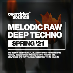 Melodic Raw Deep Techno (Spring '21)