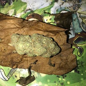 Simple Shii (Explicit)