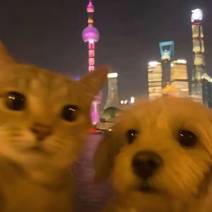 桃花朵朵开 (哈基米版)封面