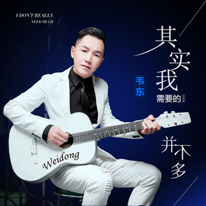 其实我需要的并不多 (DJ版)