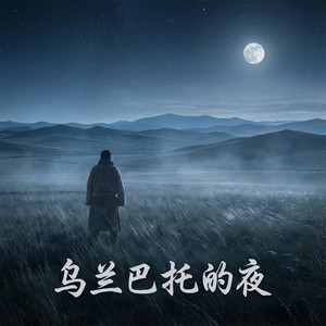 乌兰巴托的夜-图灵