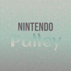 Nintendo Pulley