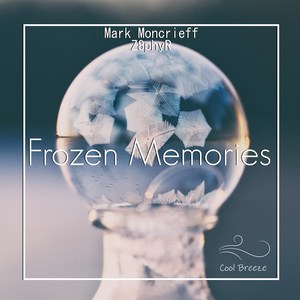 Frozen Memories