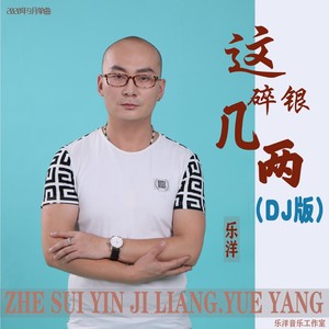 这碎银几两 (DJheap九天版)