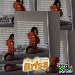 Brisa