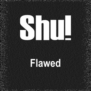 Flawed (Radio Edit)