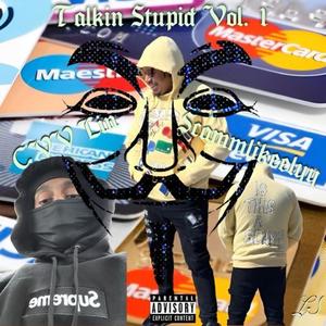 Talkin Stupid, Vol. 1 (Explicit)