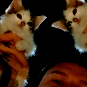 STARE TRAPISKO (Explicit)