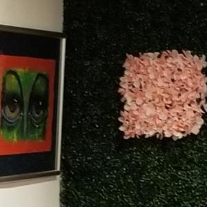 Cash or Flowers (Explicit)