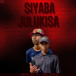 Siyaba Julukisa