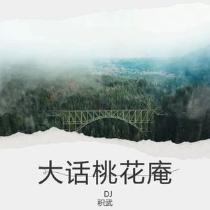 桃花庵歌 (DJ 积武 remix|Remix)