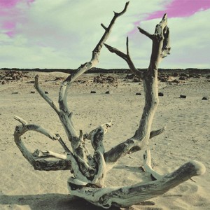 Hija de la Vida(feat. Ayelen Secches)