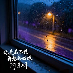 你是我不该再想的姑娘