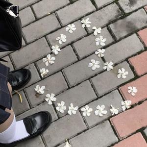 tell me tht ur mine (feat. may & vin0)