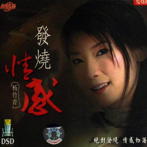 关于二道桥 - 杨竹青封面