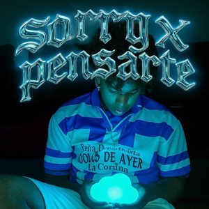 sorry x pensarte