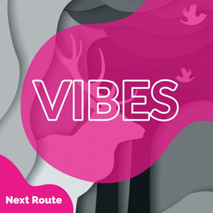 Vibes