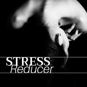 Stress Reducer - 40 Ways to Fend Off Stress, Anger and Tension