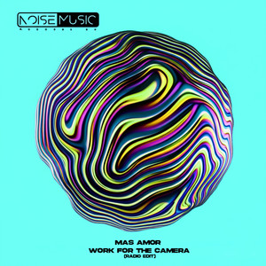 Work For The Camera (Radio Edit)