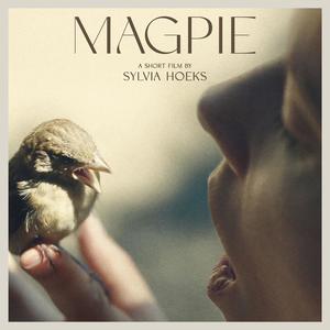 All I Hear Is The Quiet