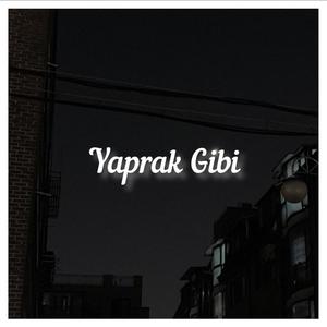 Yaprak Gibi Dökül Kadehe (Mix) [Explicit]