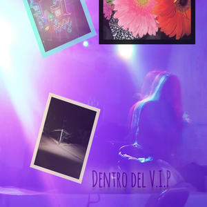 Dentro del V.I.P (Haser) (feat. Caam) (Explicit)