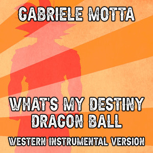 What's my Destiny Dragon Ball (western instrumental version) Salva (Western Instrumental Version)