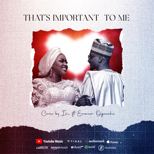 That's Important To Me (feat. Emmeo Ogwuche)