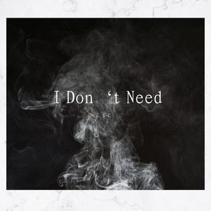 I Don't Need