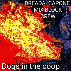 Dogs In The Coop (Explicit)