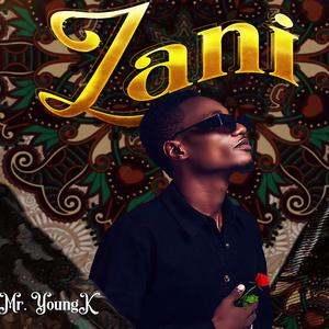 Zani refix
