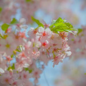 Chemistry (Explicit)