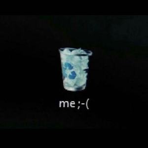 新鸳鸯蝴蝶梦 (R&B版)