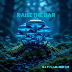raise the bar