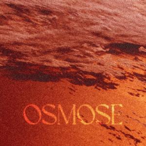 OSMOSE (Explicit)