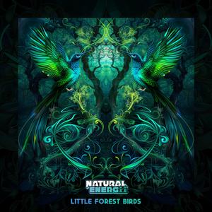 Little Forest Birds