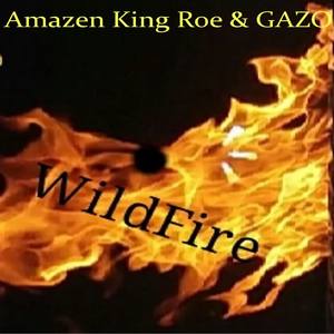 Wild Fire (feat. GAZO)