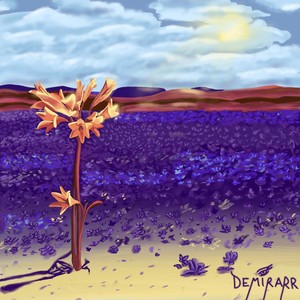 Desierto Florido