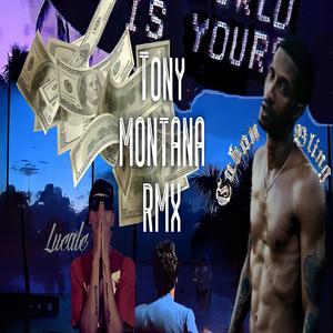 Toni Montana (feat. Cuban Bling) (Explicit)