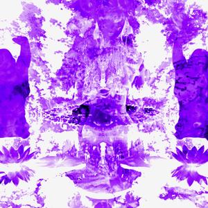 worldflip nytbass (Explicit)