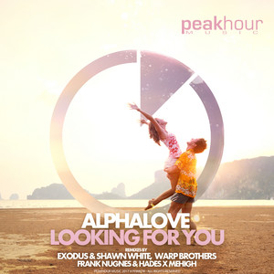 Looking For You (Frank Nugnes & Hades x MeHigh Remix)