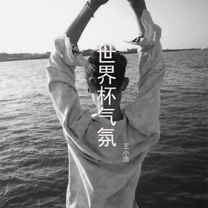 罗马尼亚阿里啊里 (Remix)