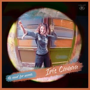 No Need for Words (Radio Edit)